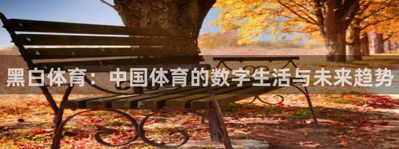 黑白体育：中国体育的数字生活与未来趋势
