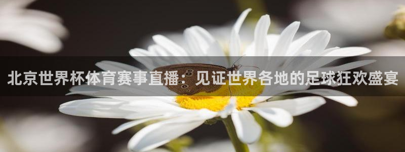 北京世界杯体育赛事直播：见证世界各地的足球狂欢盛宴