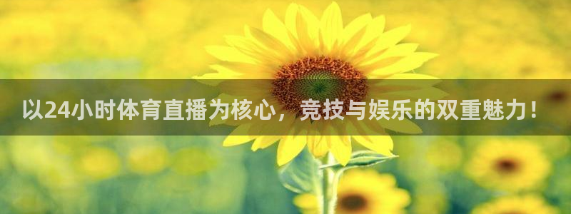 以24小时体育直播为核心，竞技与娱乐的双重魅力！